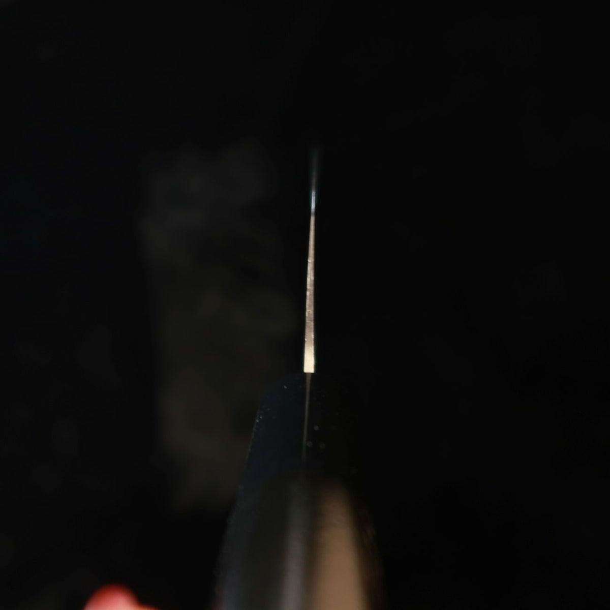 SUMIKAMA Tora, Nakiri, Molybdenum Vanadium Steel - Black Lacquered Magnolia Handle (No.36847)
