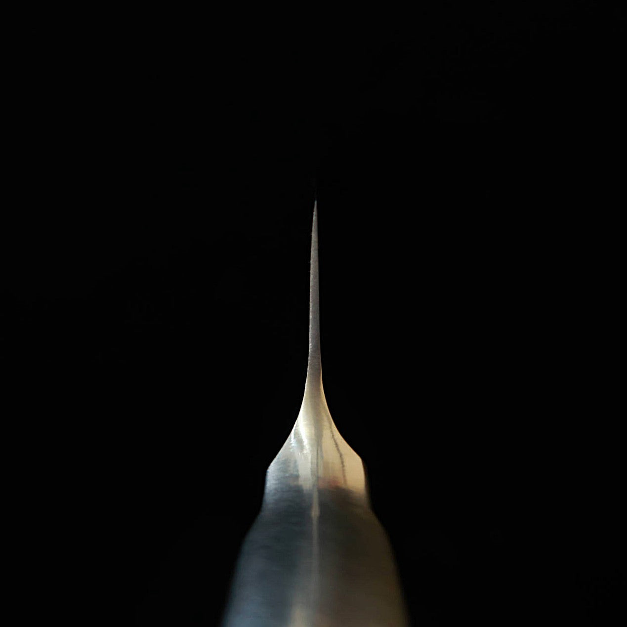 Glestain Protin Knife 021TUM (210mm)