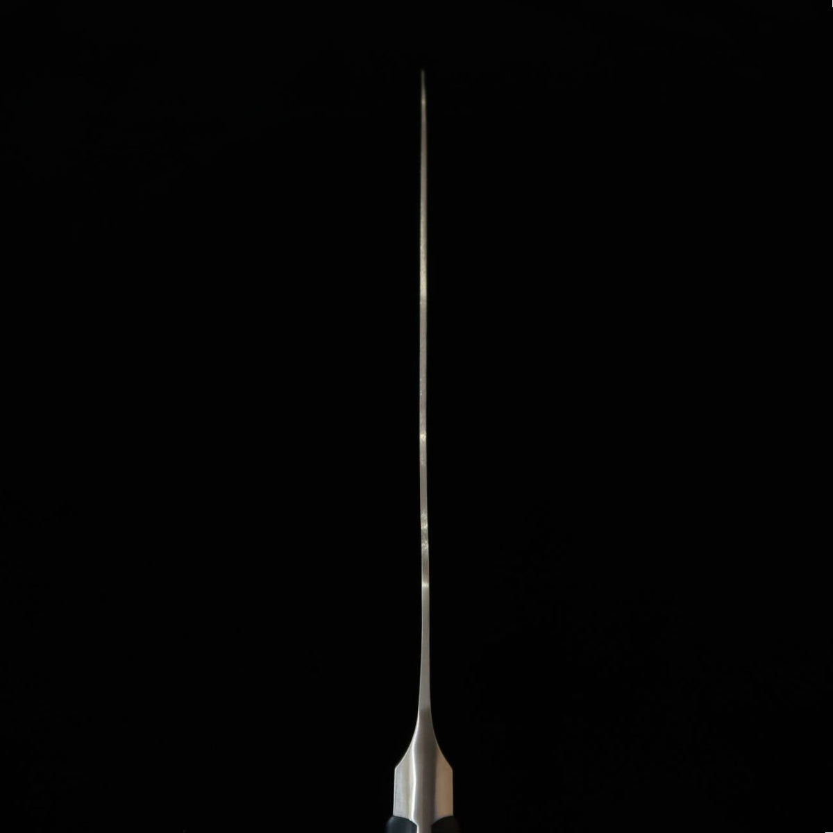 グレステンGLESTAIN プロティナイフ 積層強化木鍔付きハンドル 021TUK（210mm）