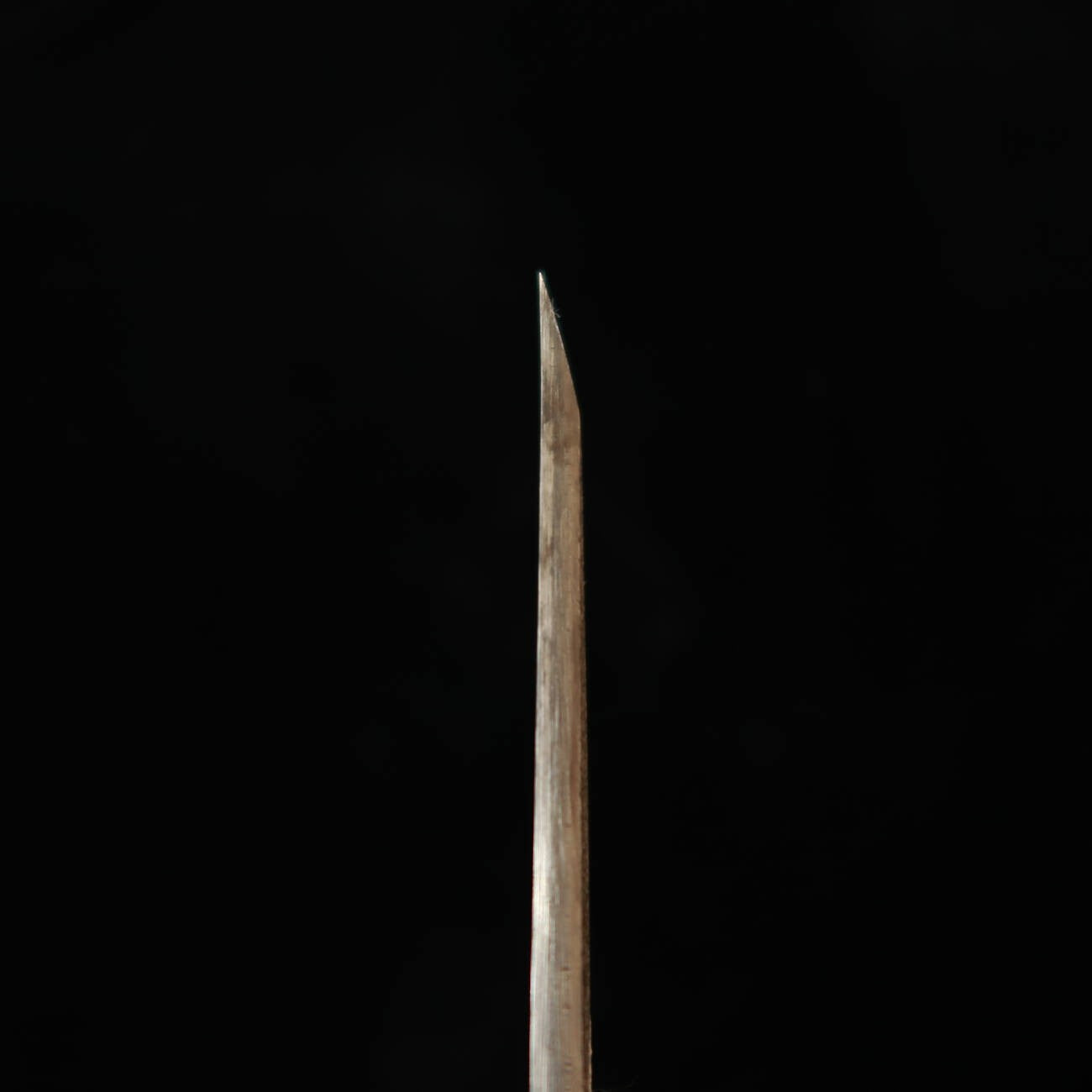 Sakai Kikumori SAKAI KIKUMORI Edition spéciale Unagi-saki Shirogami n°2 Osaka-saki (50 mm)