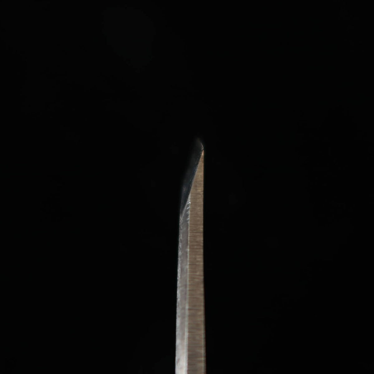 SAKAI KIKUMORI Eel Slicer, Shirogami No. 2, Osaka Style (50mm)