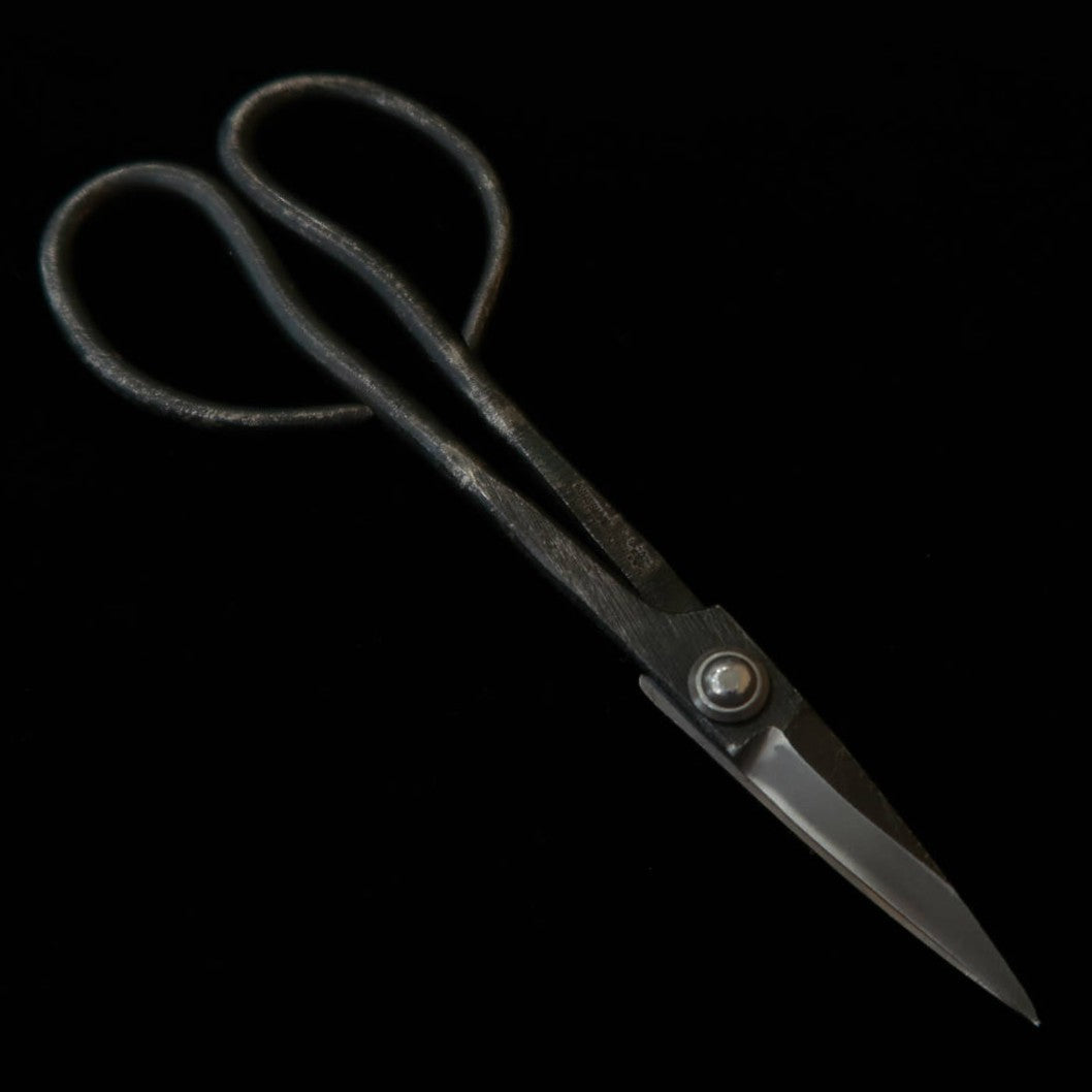 KANESHIN Kaneshin – ciseaux à bonsaï pour satsuki, finition kuro-uchi (180 mm) n°35F