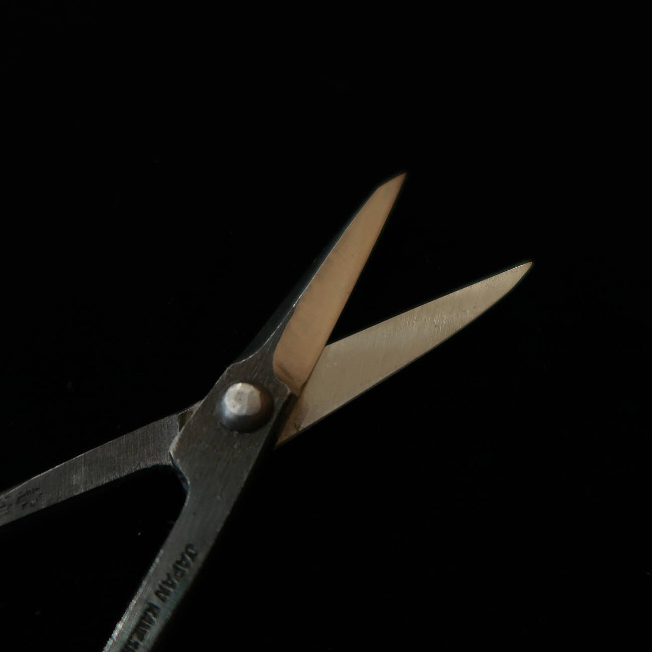 兼進 KANESHIN 盆栽用 芽切鋏 黒打 （170mm）No 33A