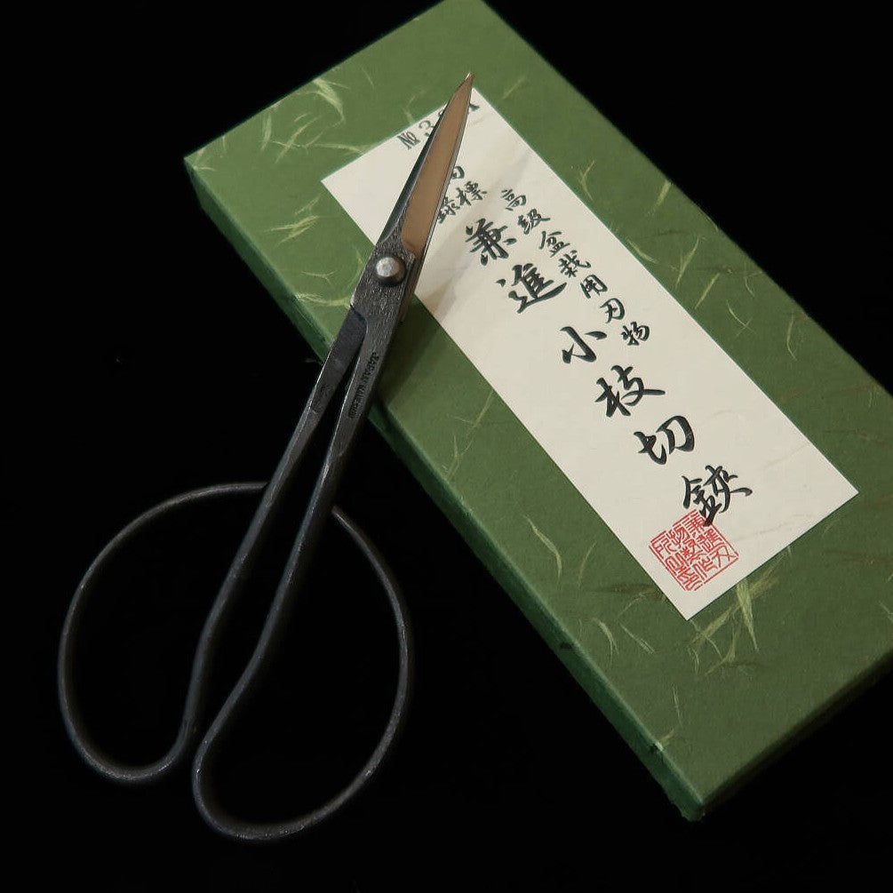 KANESHIN – Ciseaux à bourgeons pour bonsaï, finition kuro-uchi (170 mm) n°33A