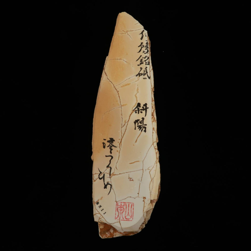 Miotsukushihime piedra de afilar natural Iyo Meito NM11 “Shayō” 70×250×30 mm