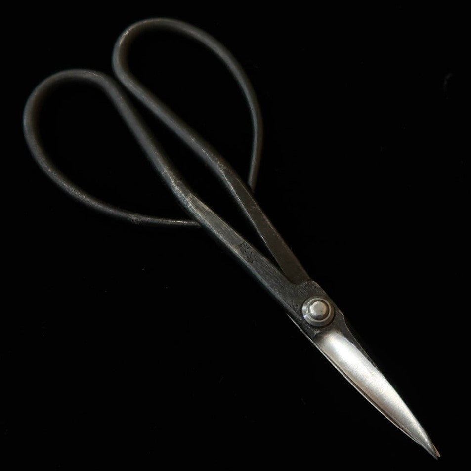 兼進 KANESHIN 盆栽用 さつき鋏 大 黒打 （190mm）No35