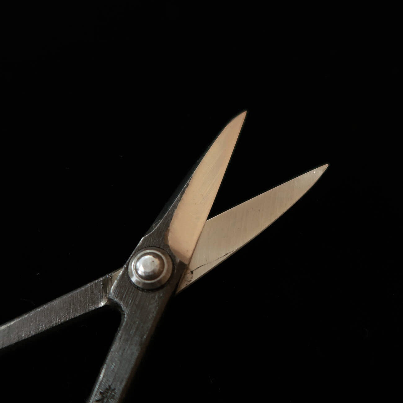 兼進 KANESHIN 盆栽用 さつき鋏 大 黒打 （190mm）No35