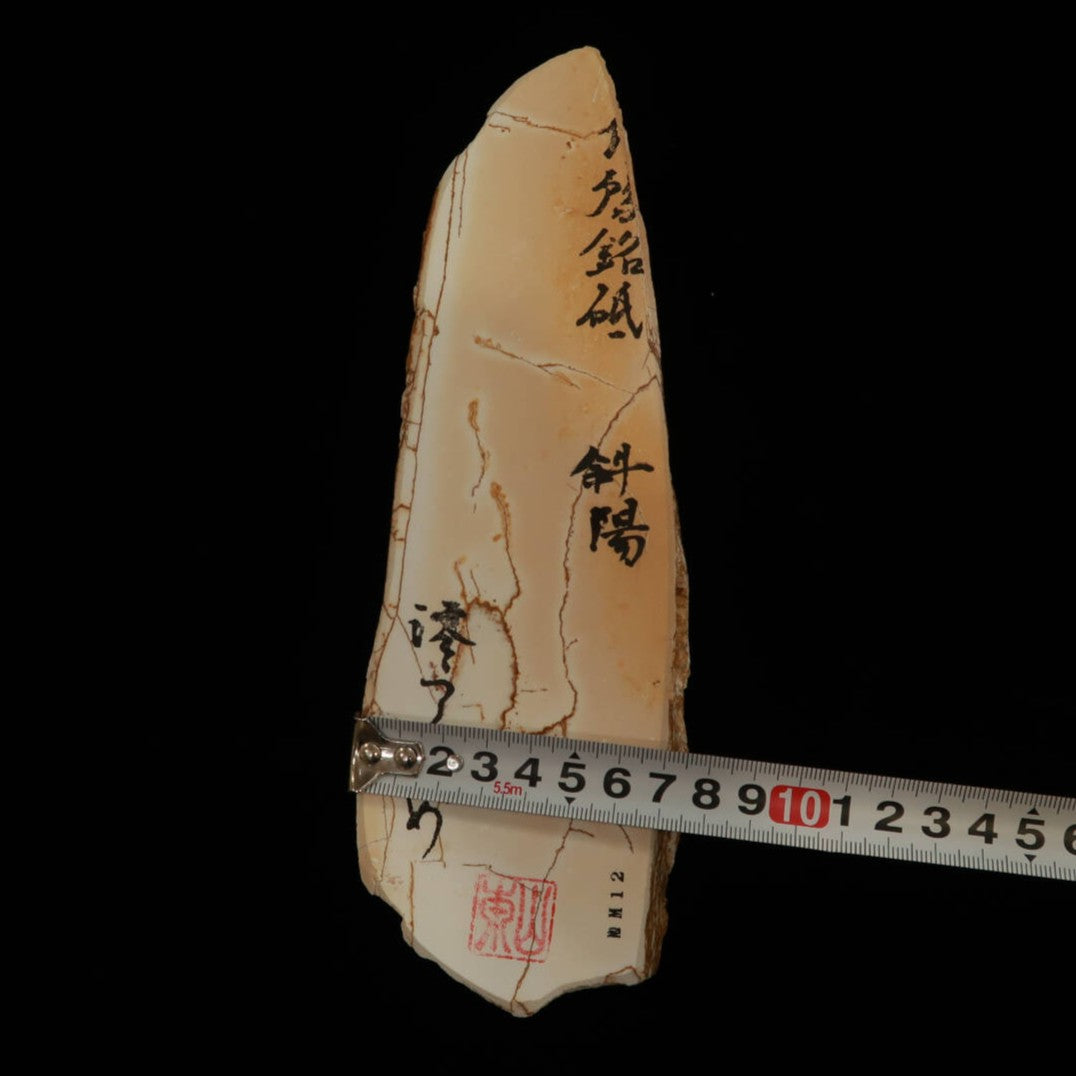Miotsukushihime Natural Whetstone, Iyo Name NM12, Shayo, 76 x 234 x 30mm