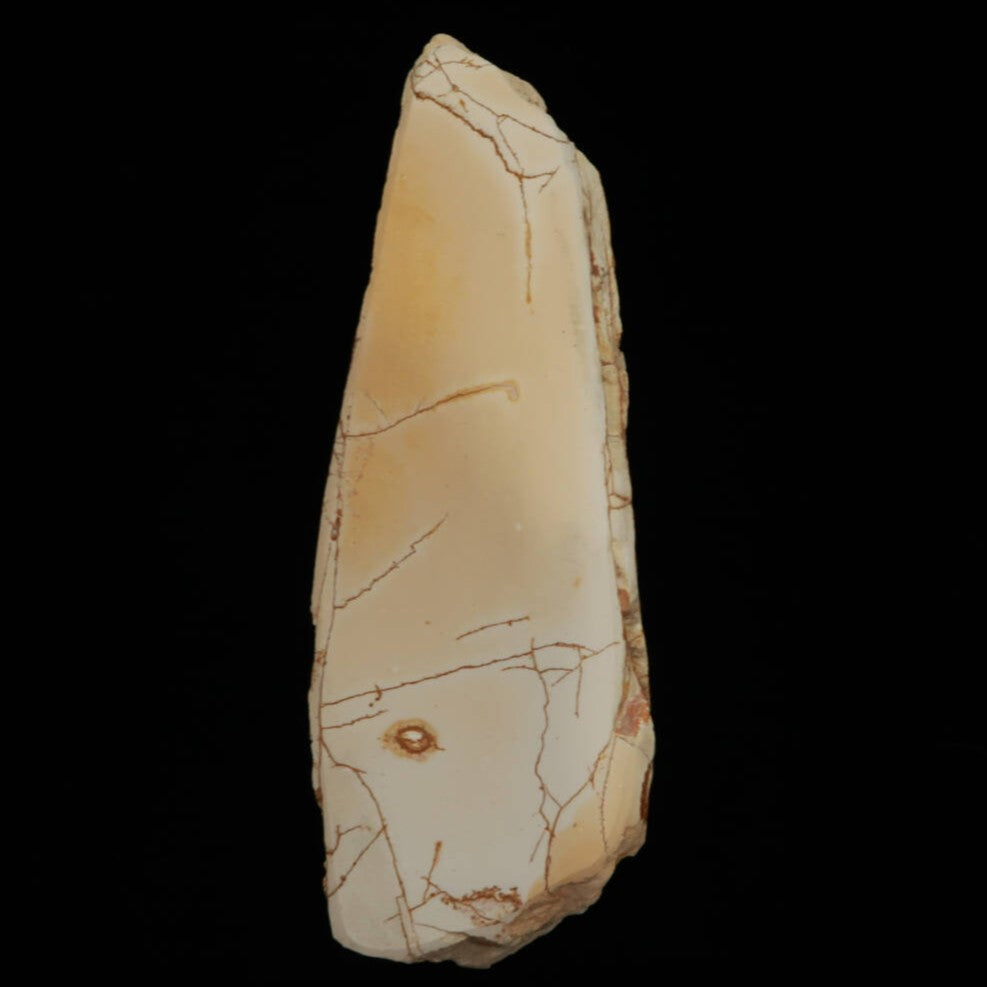 Miotsukushihime Natural Whetstone, Iyo Name NM12, Shayo, 76 x 234 x 30mm