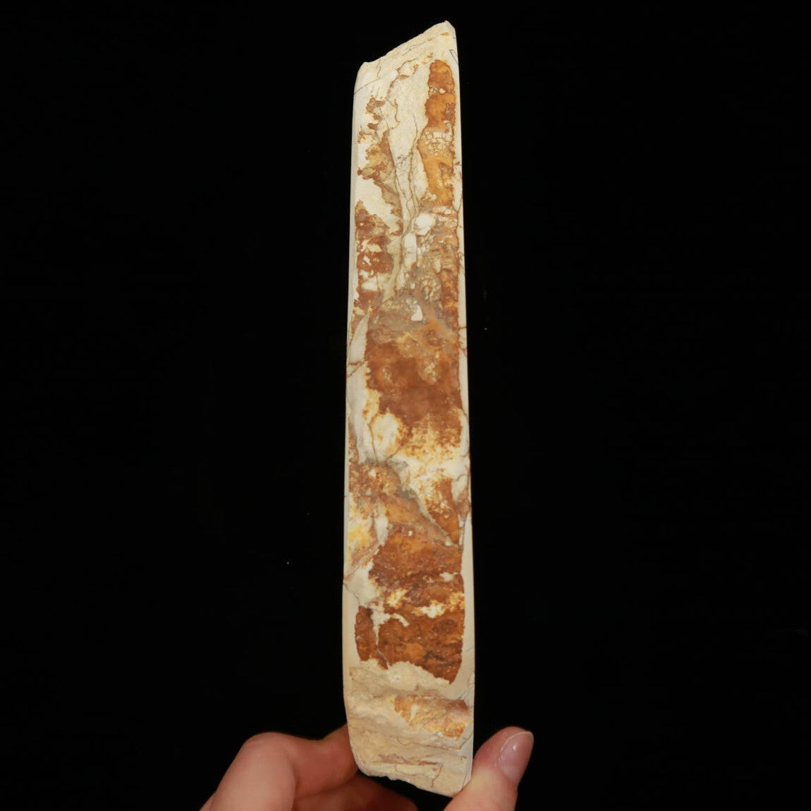 Miotsukushihime Natural Whetstone, Iyo Name NM12, Shayo, 76 x 234 x 30mm