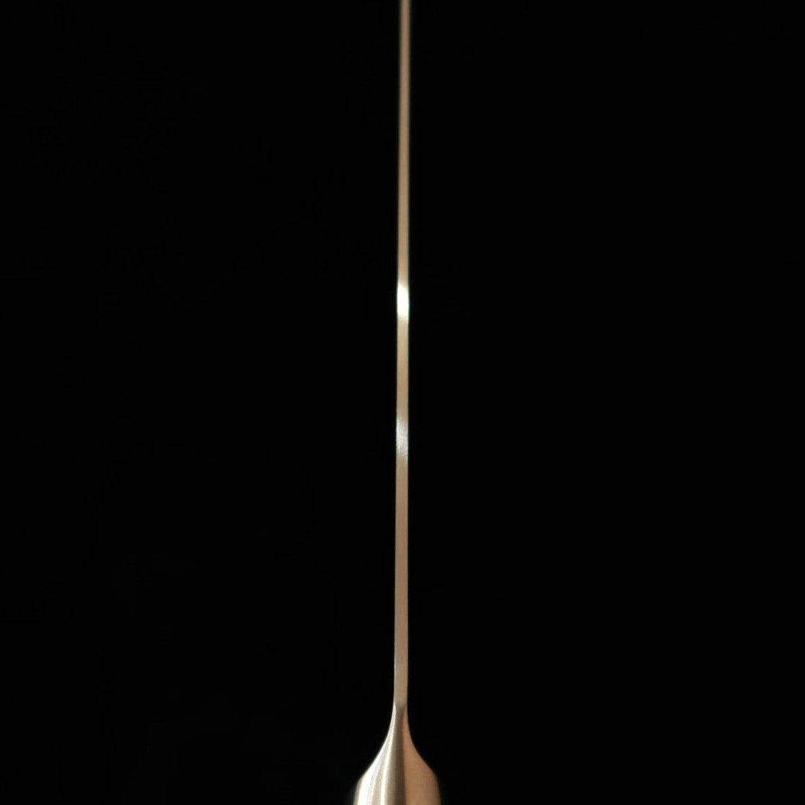Sakai Ichiji SAKAIICHIJI Gyuto Aço Inox Integral #16040-16070 (180–270 mm)