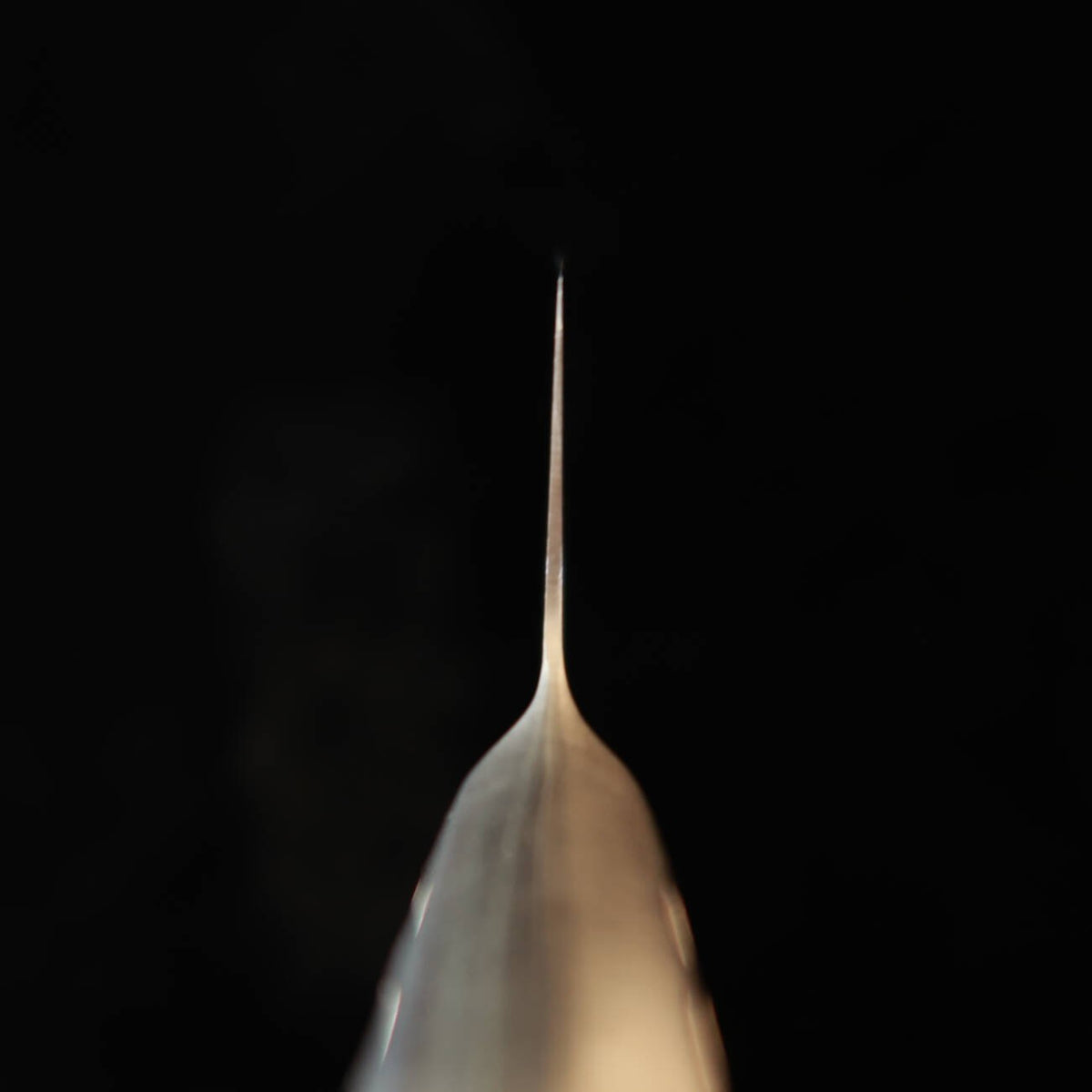 Sakai Ichiji SAKAIICHIJI Gyuto Aço Inox Integral #16040-16070 (180–270 mm)