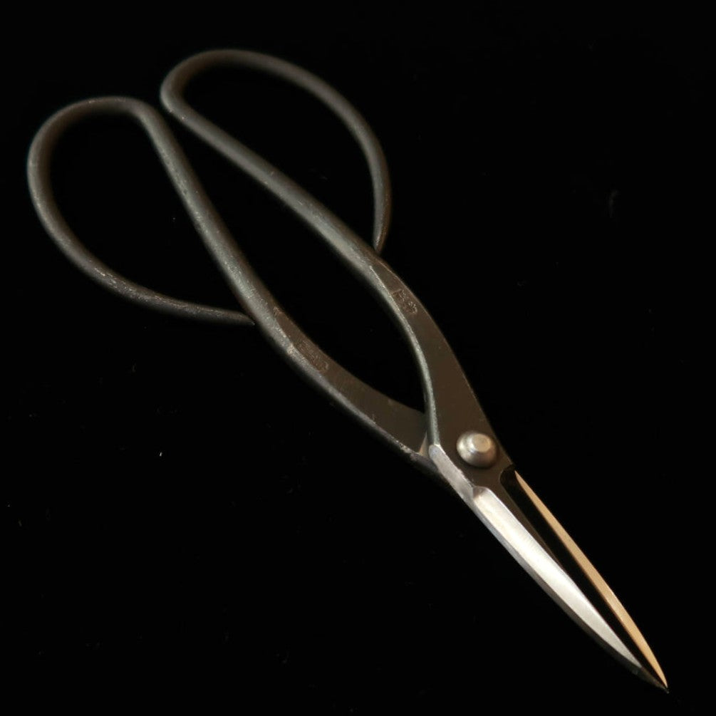 兼進 KANESHIN 盆栽用 芽摘鋏 左利き用 黒打 （190mm）No602C