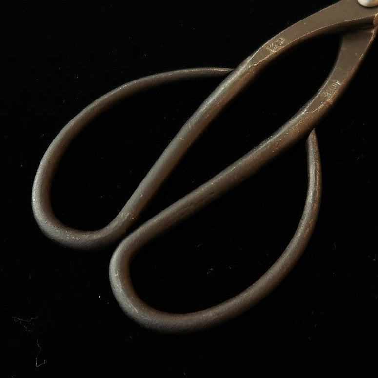 兼進 KANESHIN 盆栽用 芽摘鋏 左利き用 黒打 （190mm）No602C