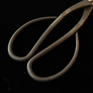 Kaneshin KANESHIN Tesoura de pinçar brotos para bonsai, para canhotos, acabamento preto forjado (190 mm) No.602C
