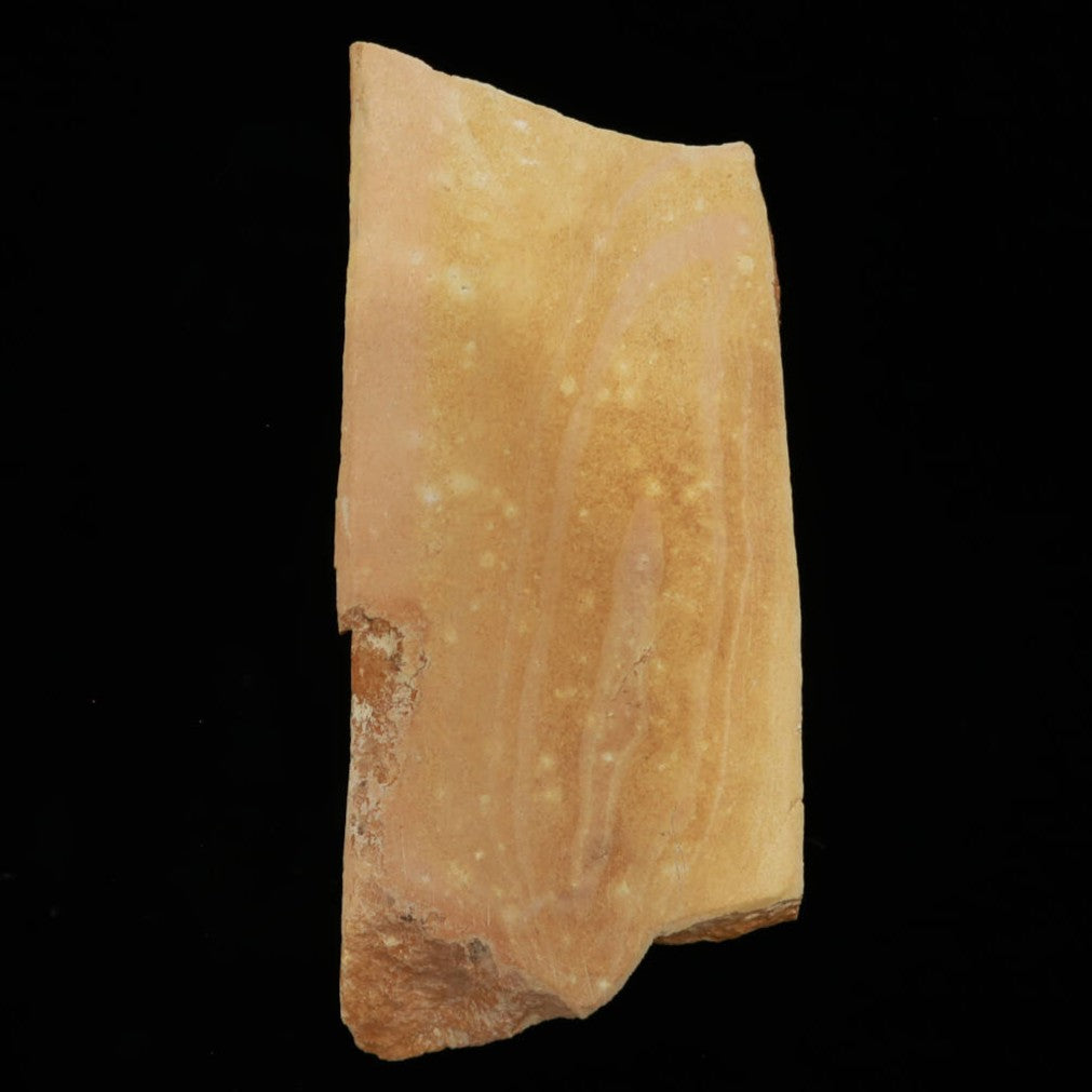 Miotsukushihime piedra de afilar natural Iyo Meito NM14 Ryujin 98×227×28 mm