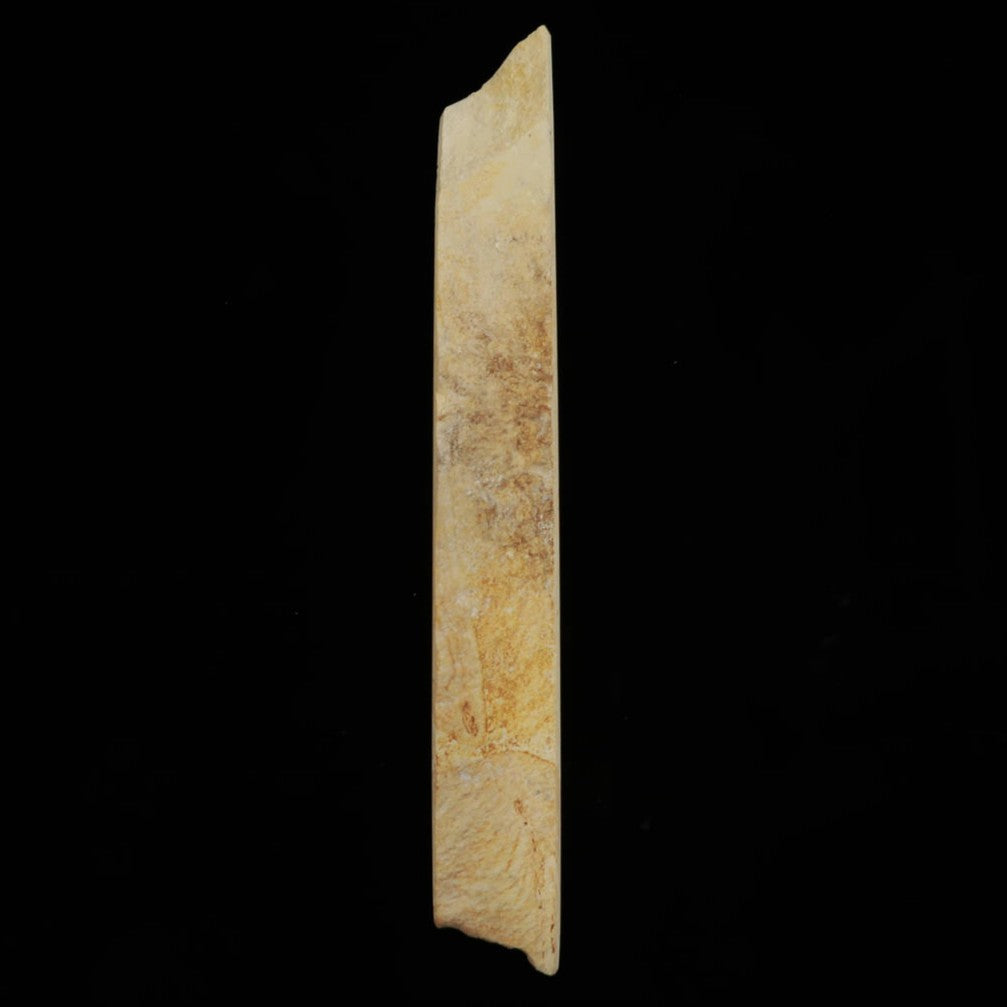 Mio Tsukushihime Piedra de afilar natural Iyo Meito NM15 Murakumo 73×252×30 mm