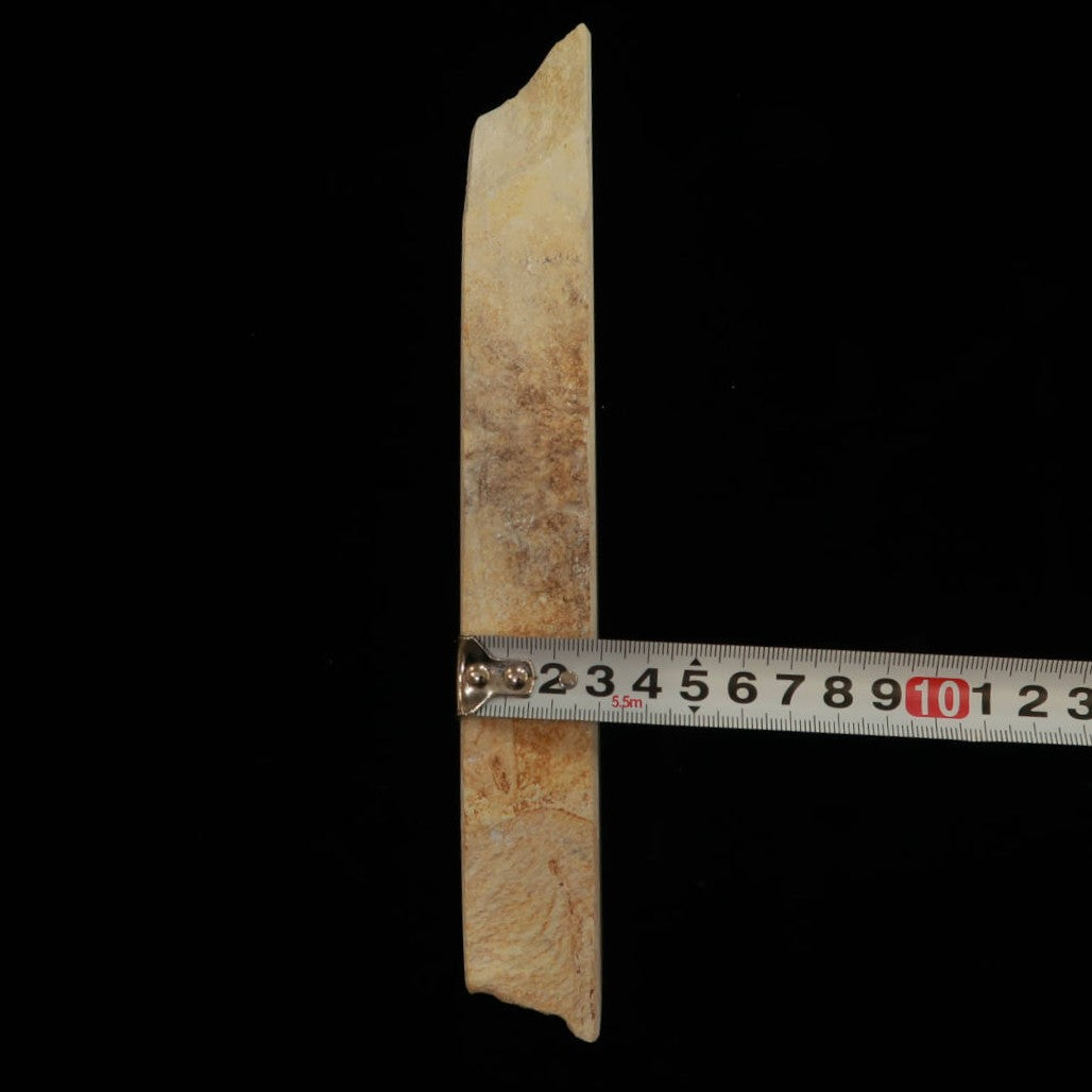 Mio Tsukushihime Piedra de afilar natural Iyo Meito NM15 Murakumo 73×252×30 mm