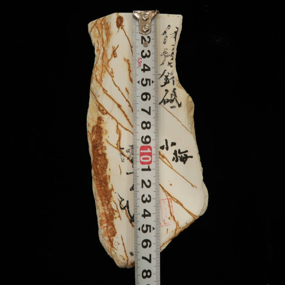 Mio Tsukushi Hime Piedra de afilar natural Iyo Meito NM23 Koume 80×183×28mm