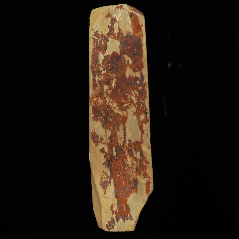 Piedra de afilar natural Ayameya Tipo San 49×180×22mm