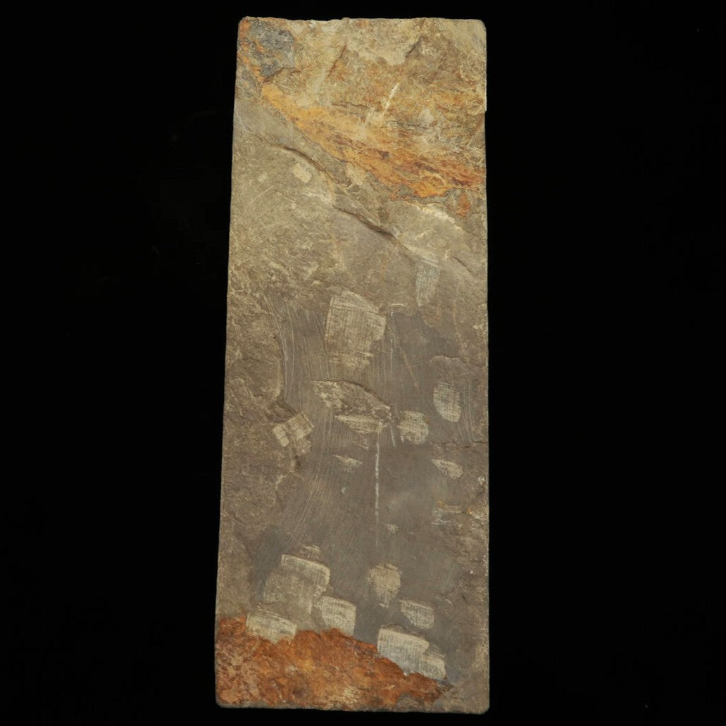 Piedra de afilar natural Yaginoshima Tipo 30 -4 76×205×36 mm