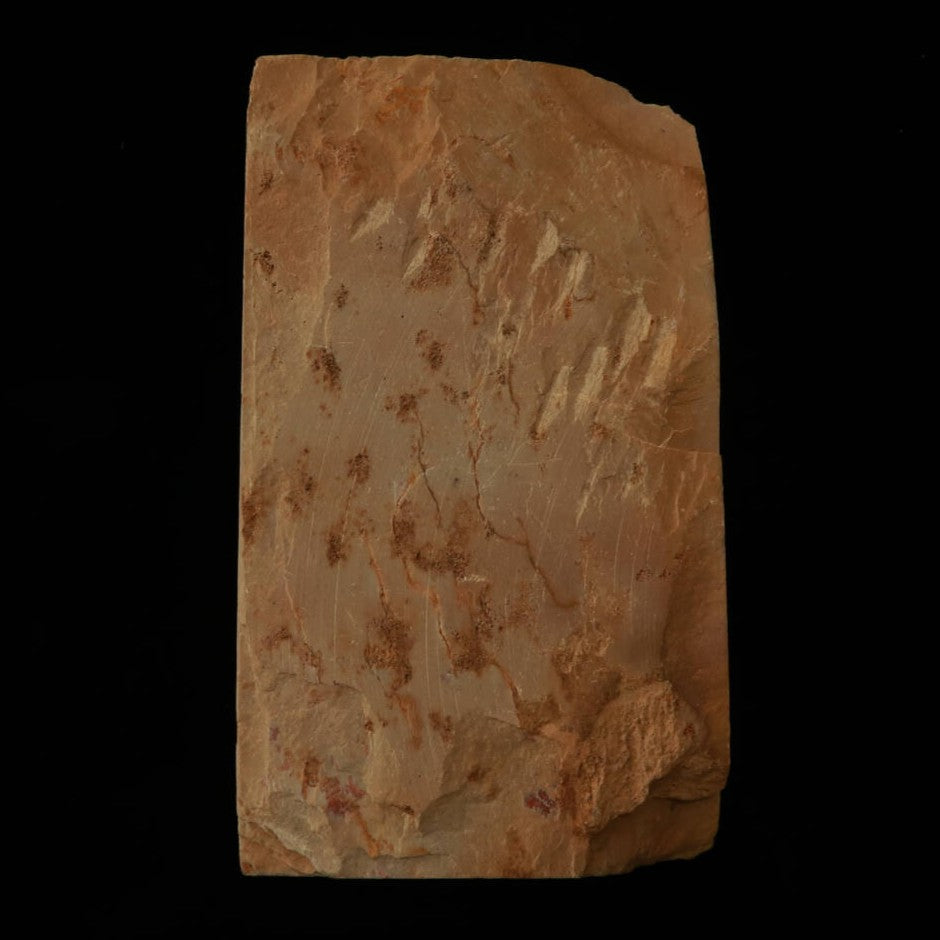 Piedra de afilar natural Umazuyama Tipo Leather Suban B 75×132×26mm