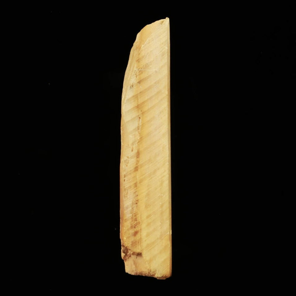 Piedra de afilar natural Umazuyama Tipo Leather Suban B 75×132×26mm