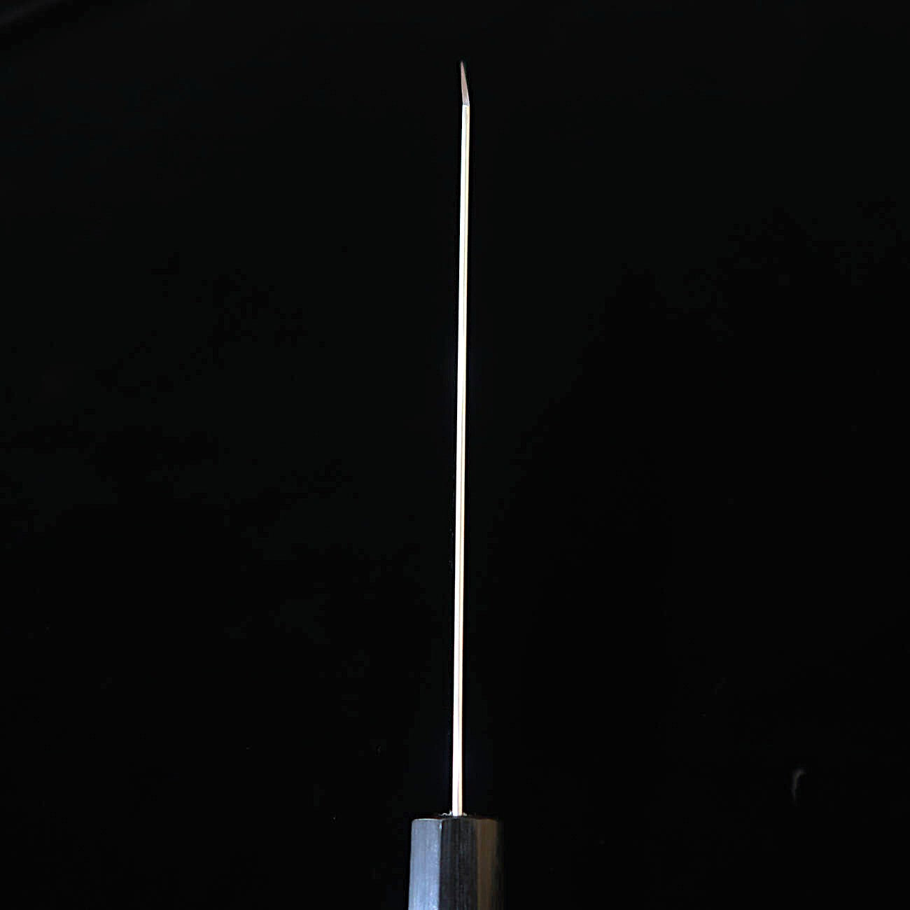 柴田崇行 TAKAYUKI SHIBATA 甲鉄 KOUTETSU ボス文化 SG2  紫檀八角柄（220mm）
