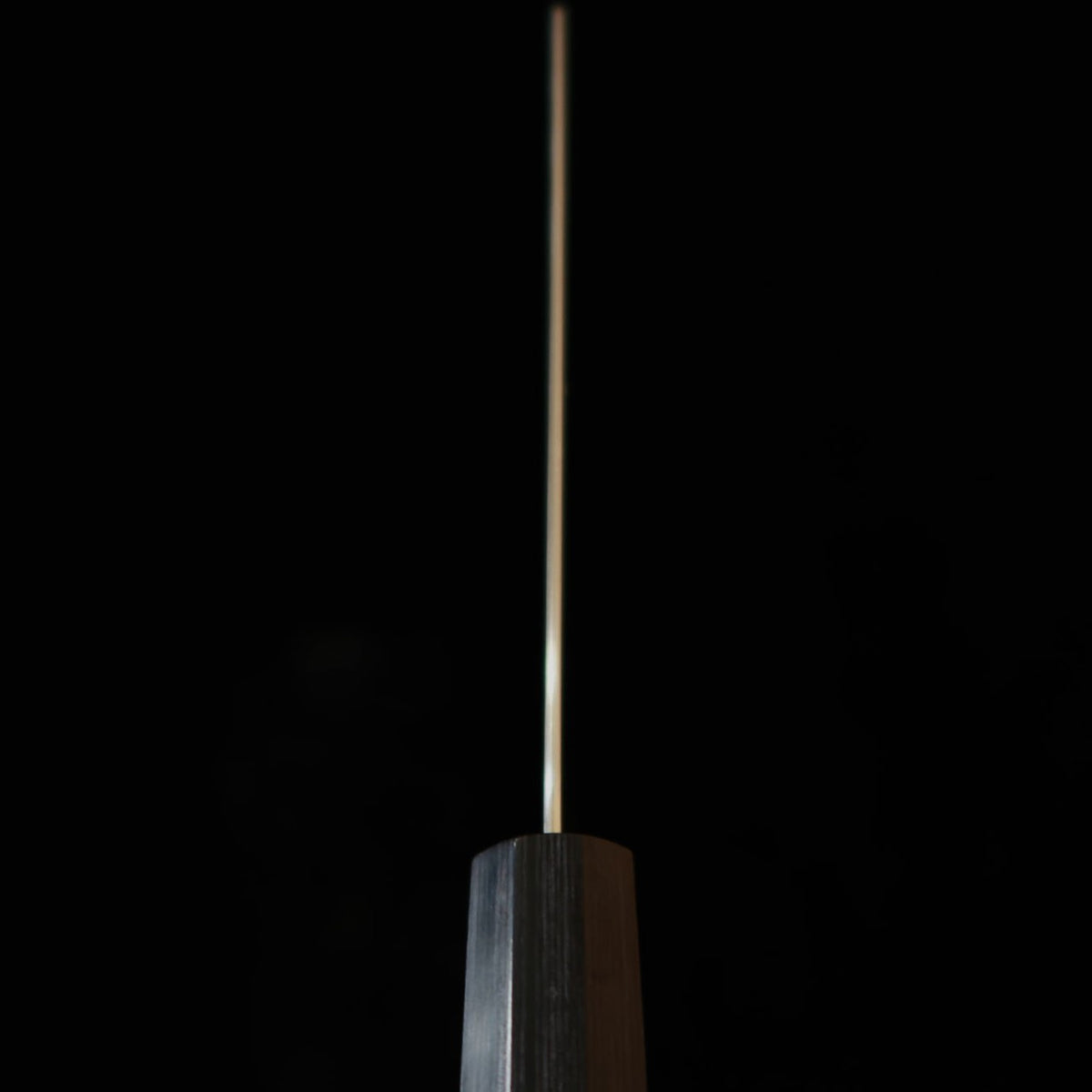 TAKAYUKI SHIBATA Shibata Takayuki KOUTETSU Koutetsu Chromax Boss Nakiri Mango octogonal de palisandro (170 mm)