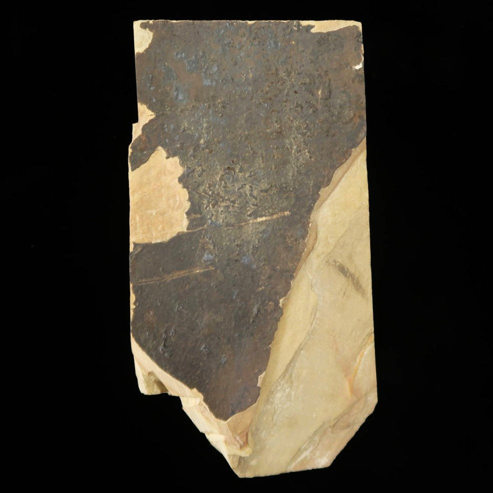 Piedra de afilar natural Nakayama Awasedo Koppa, 72×138×20 mm