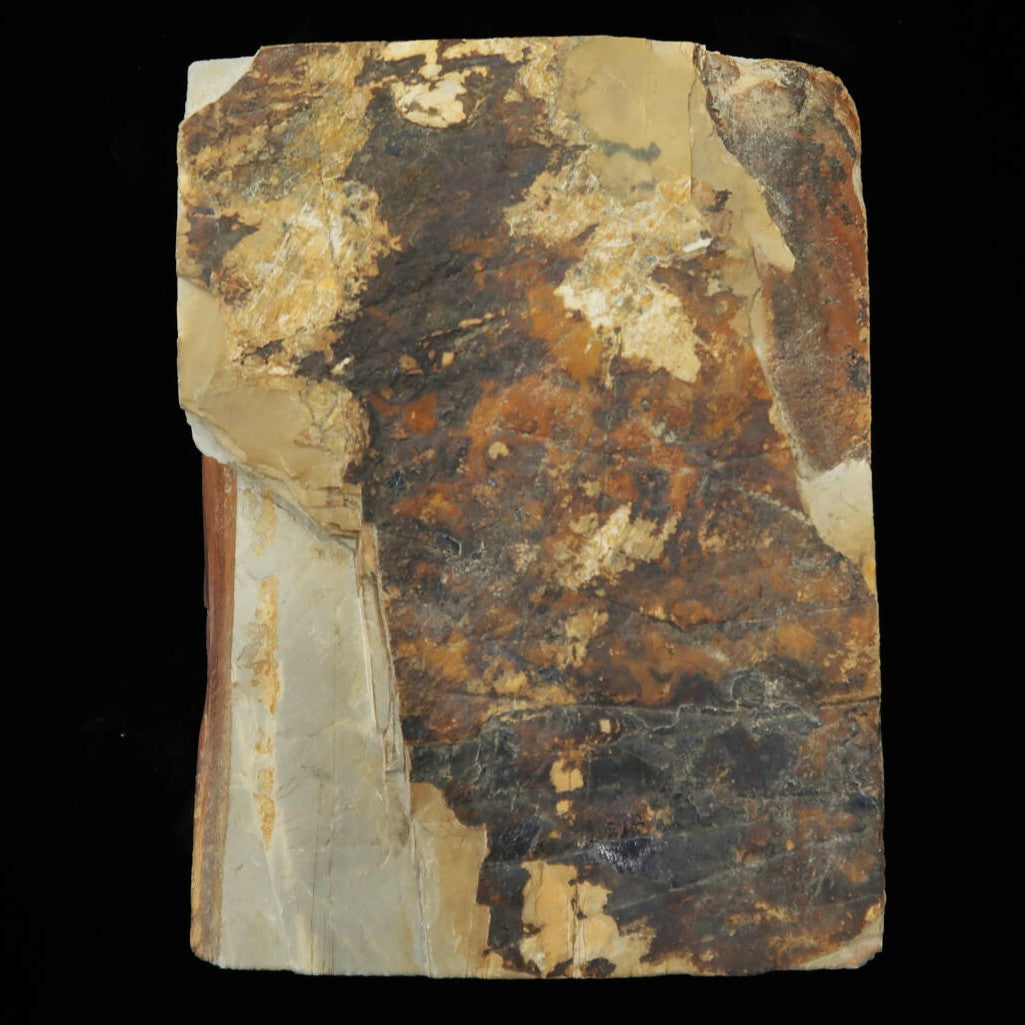 天然砥石 中山合砥 コッパ 　94×125×39mm