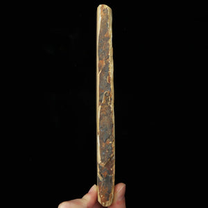 Pierre à aiguiser naturelle Nakayama, époque Hatanaka, Koppa, taillée à la main (58×207×15 mm)