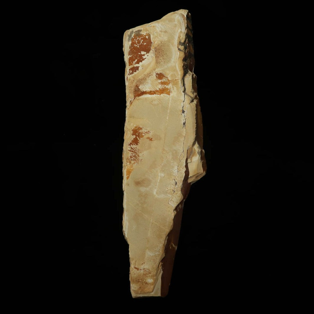 Pierre à aiguiser naturelle Nakayama, époque Hatanaka, Koppa, taillée à la main (58×207×15 mm)