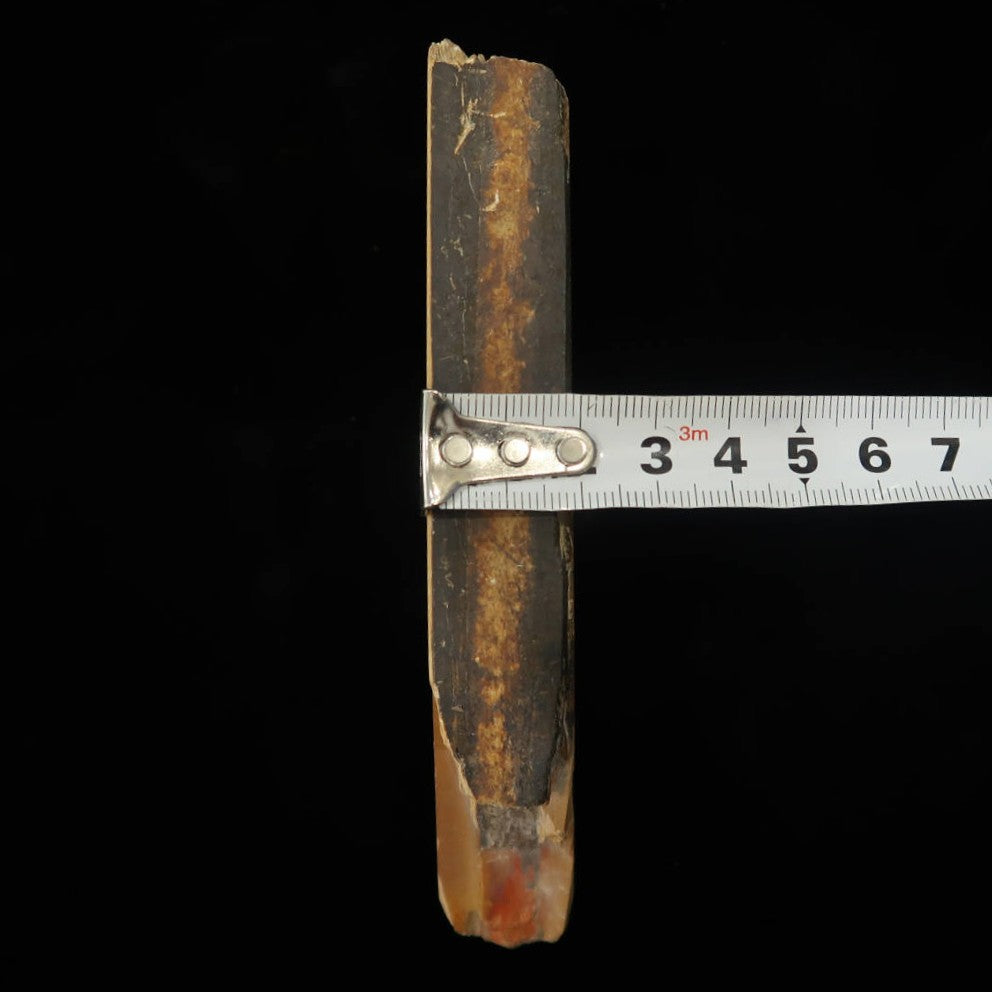 Pedra de amolar natural Nakayama Era Hatanaka Coppa Cortada à mão (68×135×20mm)