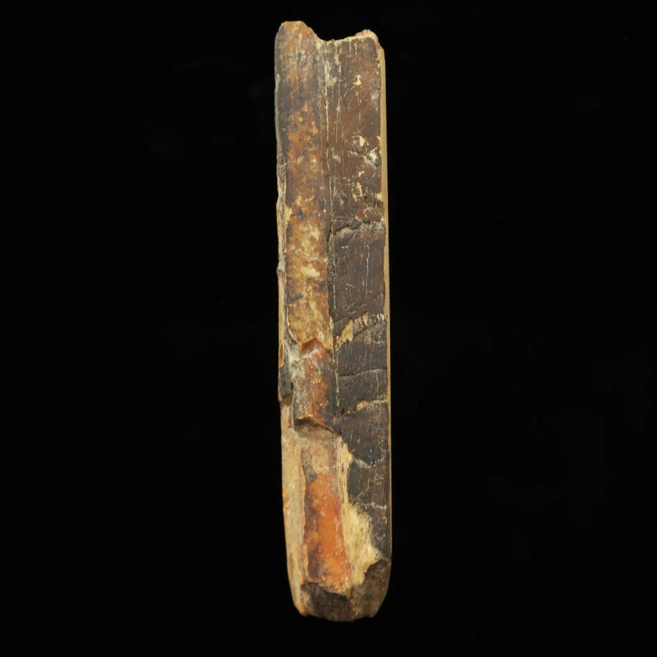 Pedra de amolar natural Nakayama Era Hatanaka Coppa Cortada à mão (68×135×20mm)