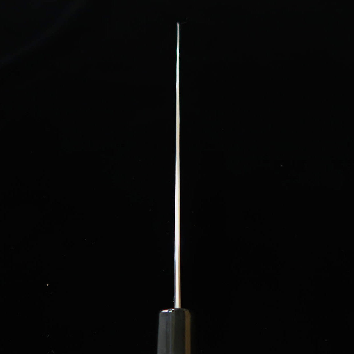堺菊守 SAKAI KIKUMORI 重陽 牛刀 青紙一号 朴八角柄（210/240mm）