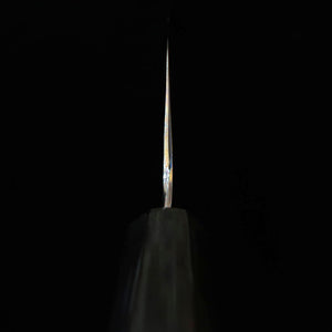 SAKAI KIKUMORI Chōyō gyuto Aogami nº1, mango octogonal de magnolia (210/240 mm)