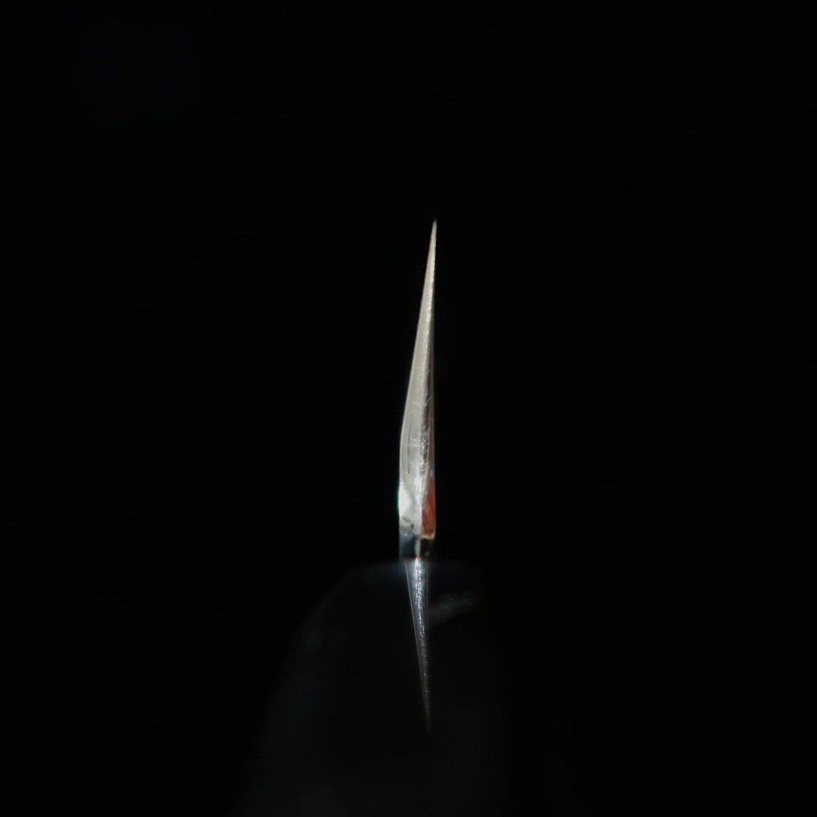 TADOKORO HAMONO Makoto Original mirror-finished Shirogami No. 2 sickle shaped Usuba and octagonal magnolia handle (195mm)