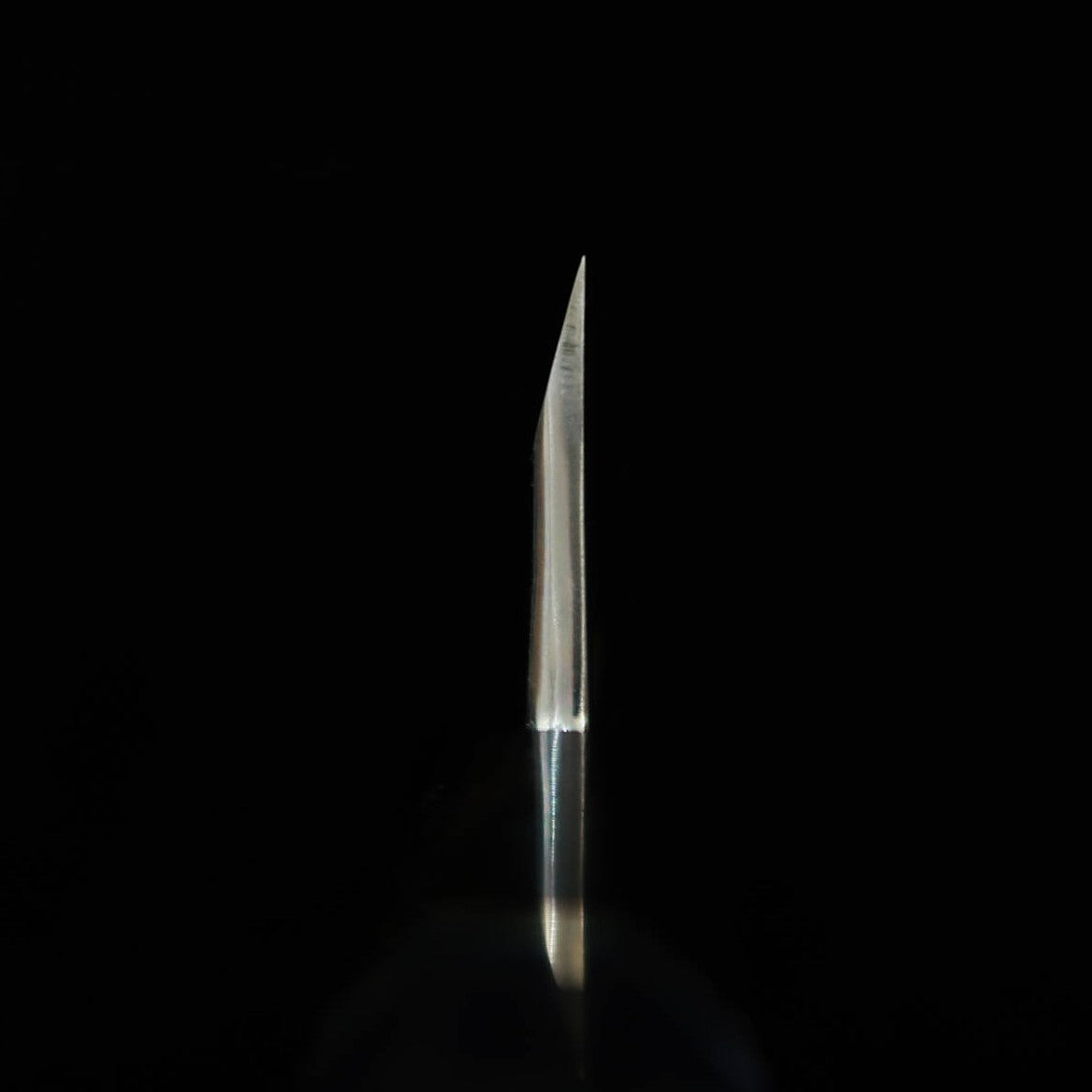 MIURA Itadaki Deba Acier Shirogami n°2 Finition noire Manche en ébène avec virole argentée (180 mm)