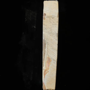 Pedra de amolar natural Umajiyama Aoto Suban Tipo 60 Rara 72×164×31 mm