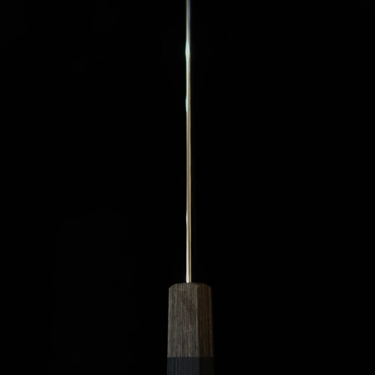 Hado Shiosai VG10 Hammered Black Plywood Handle Gyuto (210mm)