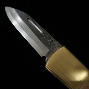 Navaja plegable tipo Bitchū TAKEDA forjado a mano por Fumio Inagaki, Aogami Super, mango de marfil de mamut (68 mm)