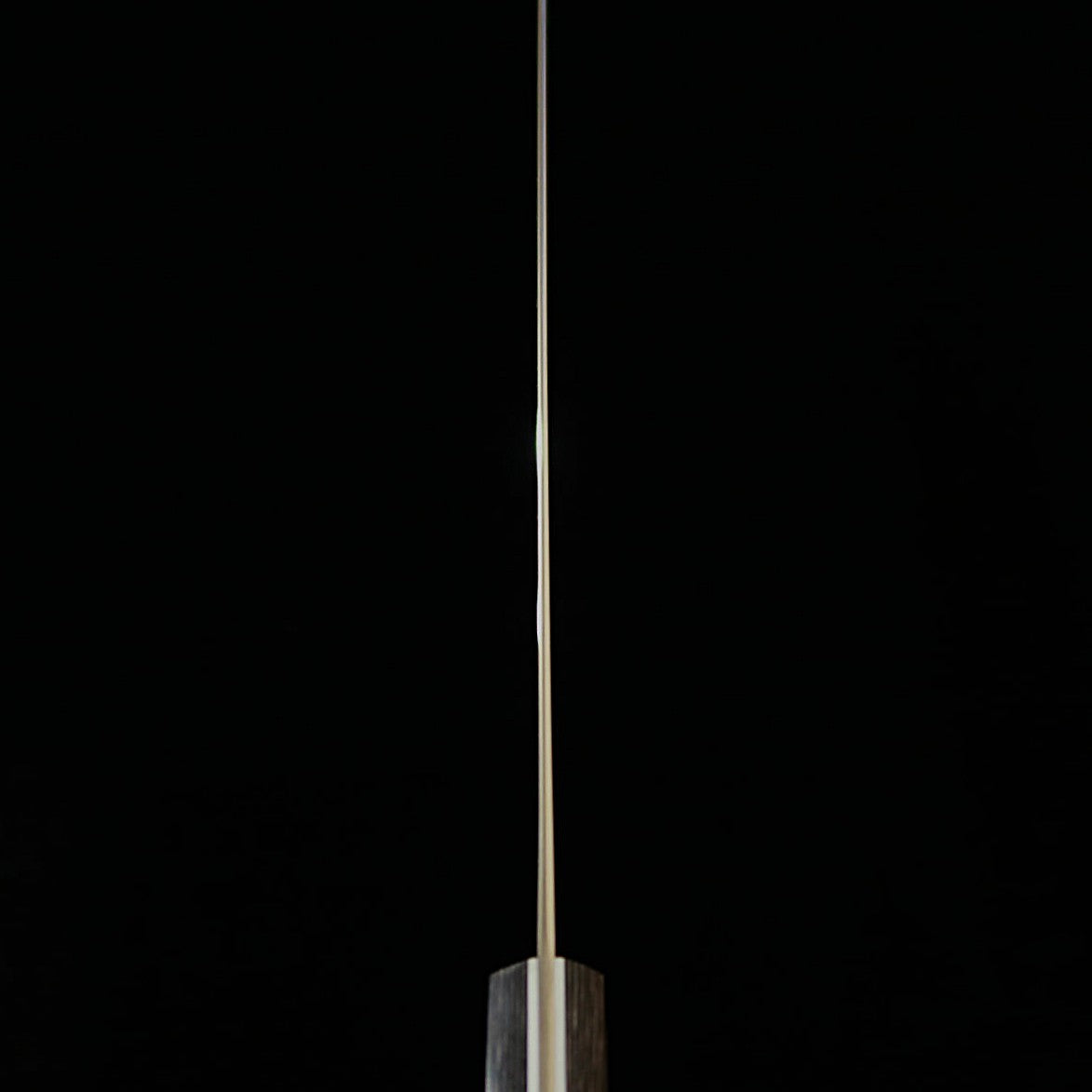 三浦MIURA 切付牛刀 SLD 黒合板 カラーライン（210mm）