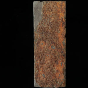 Pedra de amolar natural Ohtsuki, tipo 30, verso karasu, 74×204×30 mm