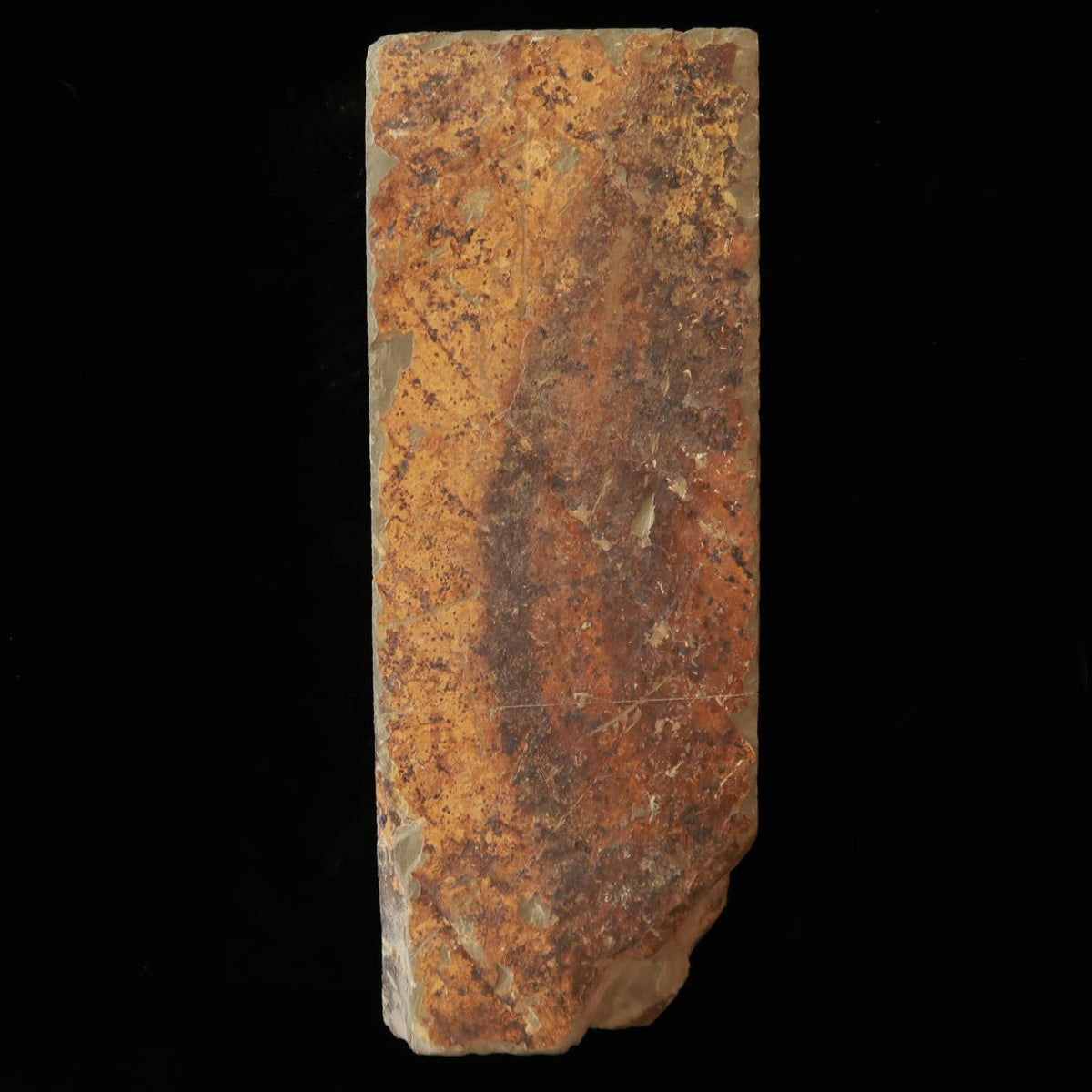 Pedra de amolar natural Ōhira Tipo 40 Ipponsen 77×204×40 mm