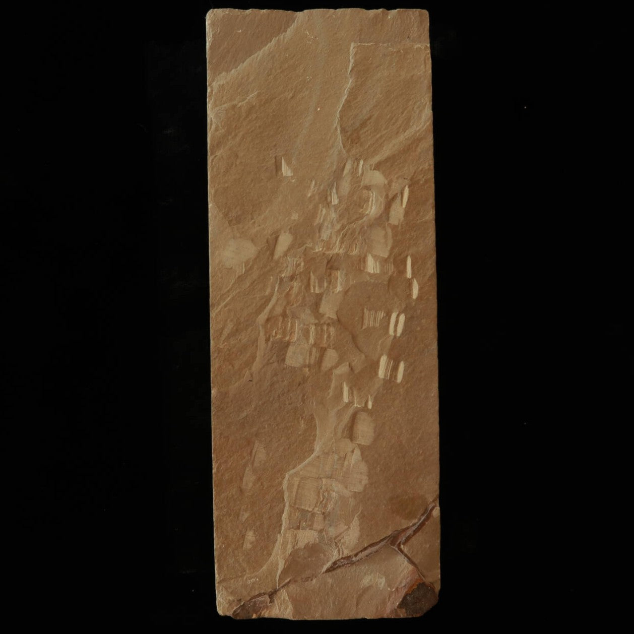 天然砥石　大平廣山　30型　一本撰　軟口　76×208×36mm