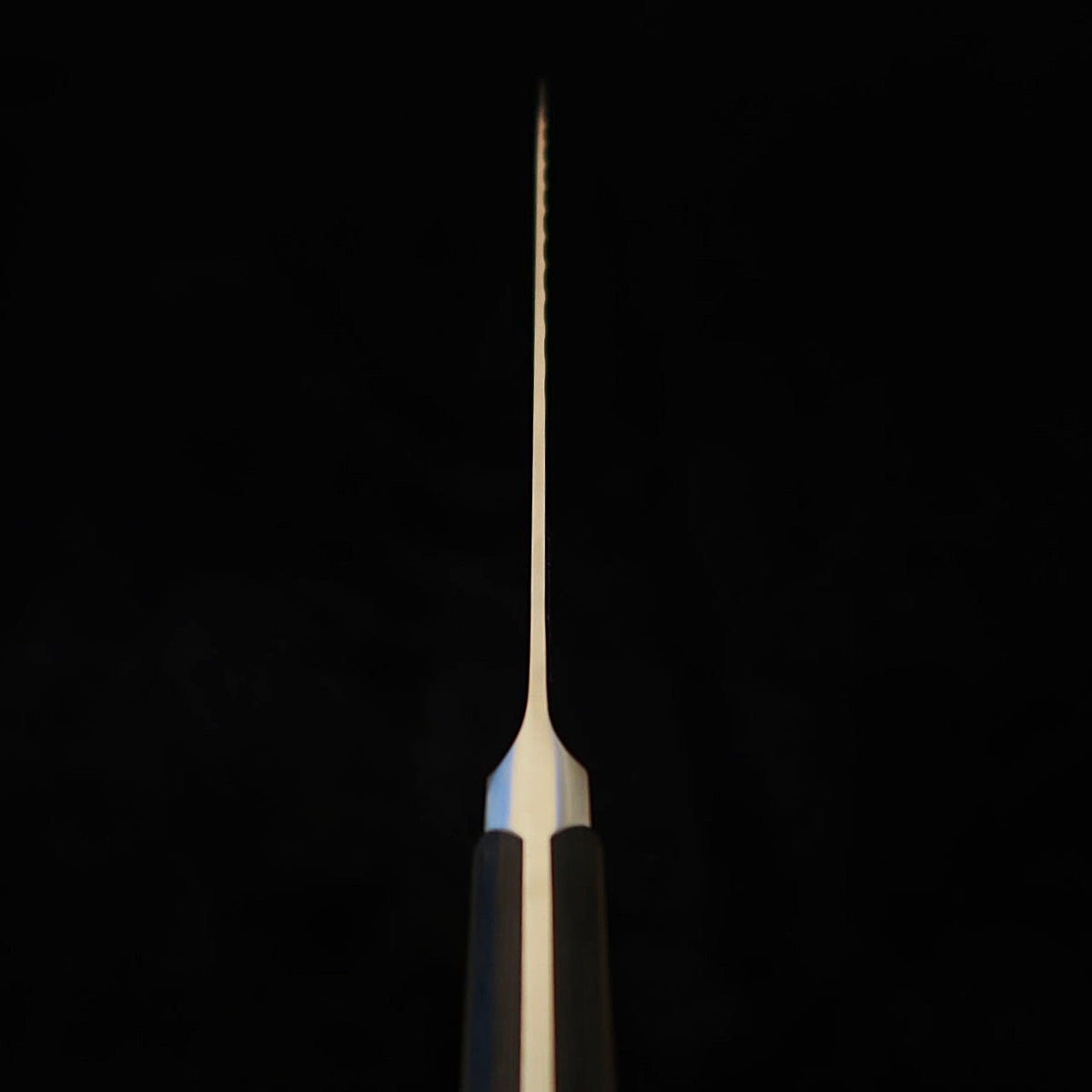 Gyuto GLESTAIN  (210-300mm)