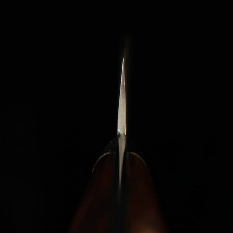 Saji Takeshi sujihiki R2, damasco escurecido, cabo de ironwood (240/270 mm)