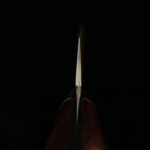 Saji Takeshi sujihiki R2, damasco escurecido, cabo de ironwood (240/270 mm)