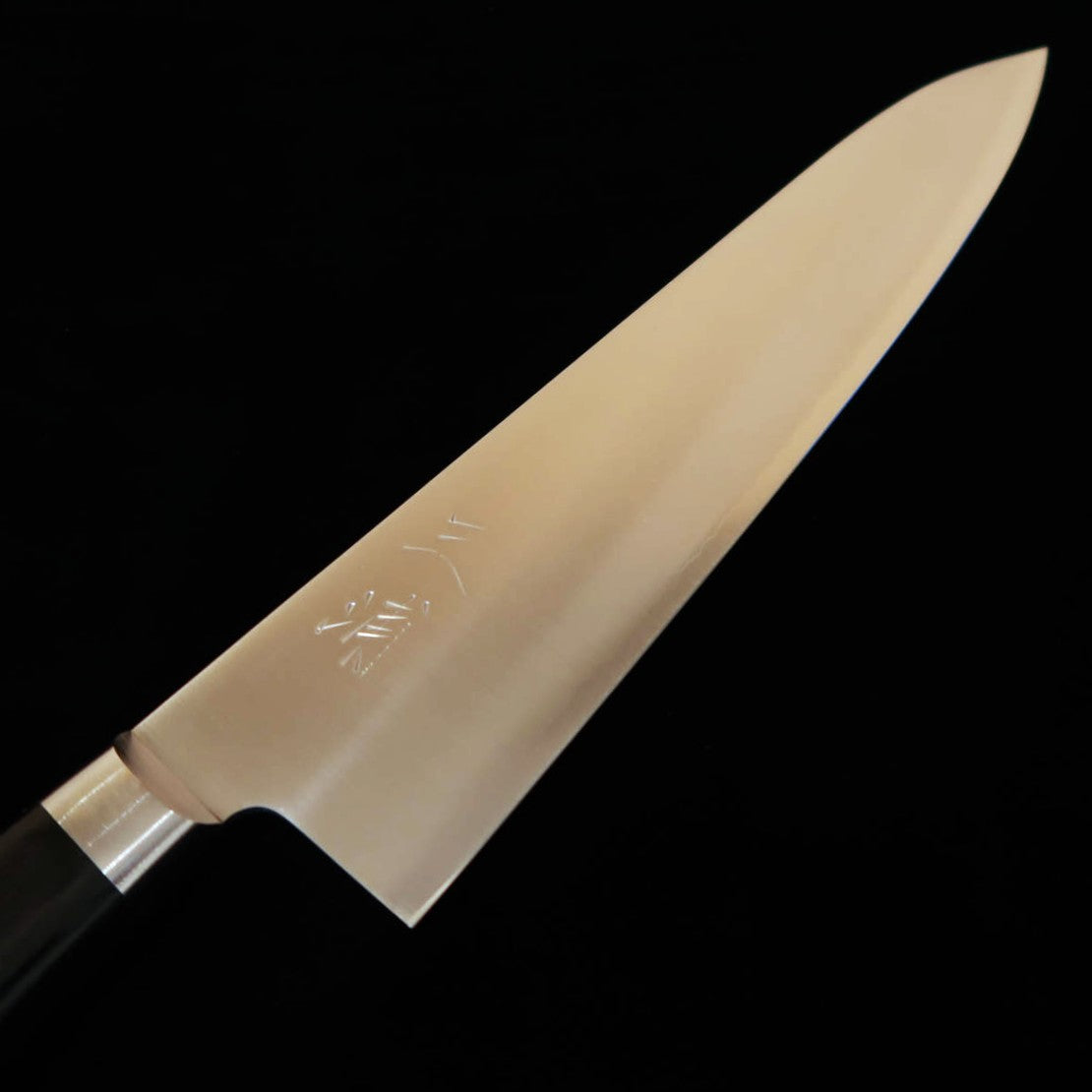 Couteau Gyuto Miura, Acier VG10 Migaki, Manche en Bois Lamellé Noir (210 mm)